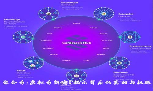 聚合币：虚拟币新宠？揭示背后的真相与机遇