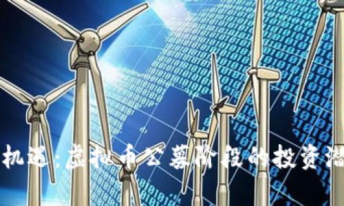 解锁财富的新机遇：虚拟币公募阶段的投资潜力与风险分析