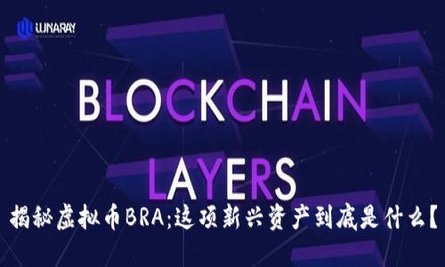 揭秘虚拟币BRA：这项新兴资产到底是什么？