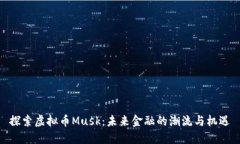 探索虚拟币Musk：未来金融的潮流与机遇