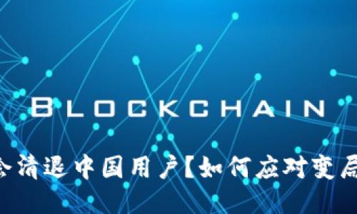 Tokenim会不会清退中国用户？如何应对变局的挑战与机遇