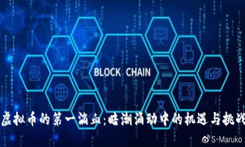 虚拟币的第一滴血：暗潮涌动中的机遇与挑战