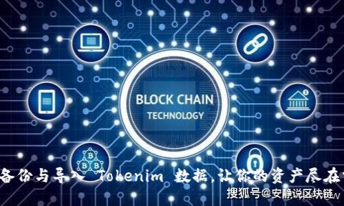 如何安全备份与导入 Tokenim 数据，让你的资产尽在掌握之中！