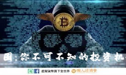 揭秘虚拟货币圈：你不可不知的投资机会与潜在风险