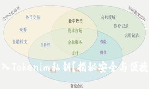 如何安全导入Tokenim私钥？揭秘安全与便捷的使用技巧