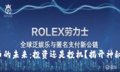 【虚拟币的未来：投资还是投机？揭开神秘面纱