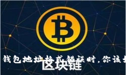 当虚拟币钱包地址格式错误时，你该如何应对？