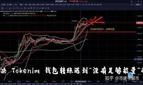 如何解决 Tokenim 钱包转账遇到“没有足够能量”的问题？