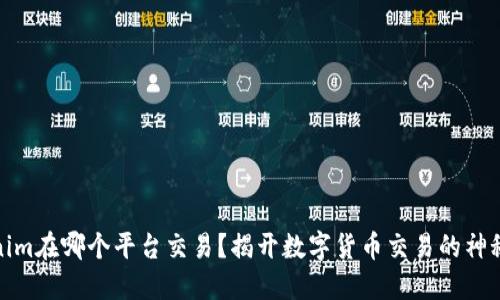 Tokenim在哪个平台交易？揭开数字货币交易的神秘面纱