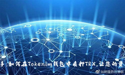轻松上手：如何在Tokenim钱包中质押TRX，让您的资产增值！