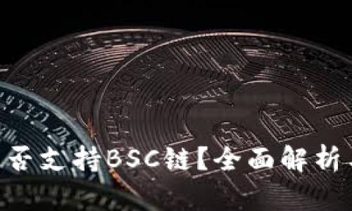 Tokenim是否支持BSC链？全面解析与应用场景