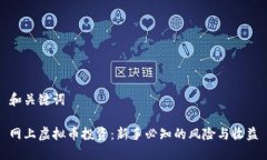 和关键词网上虚拟币投资：新手必知的风险与收