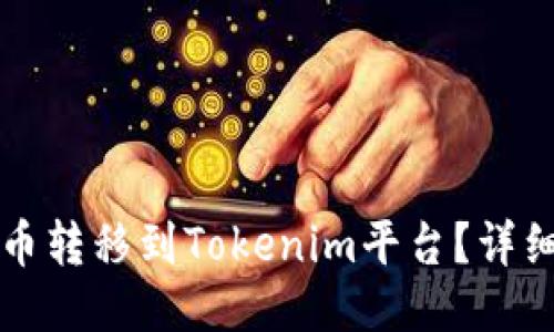 如何将屎币转移到Tokenim平台？详细操作指南