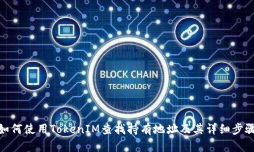 如何使用TokenIM查找持有地址及其详细步骤
