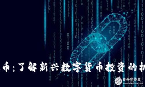 CNRG虚拟币：了解新兴数字货币投资的机会与风险