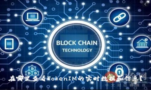 在哪里查看TokenIM的实时数据和信息？