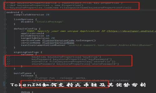 TokenIM如何支持火币链及其优势分析