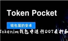 : 如何在Tokenim钱包中进行DOT质押和空投攻略
