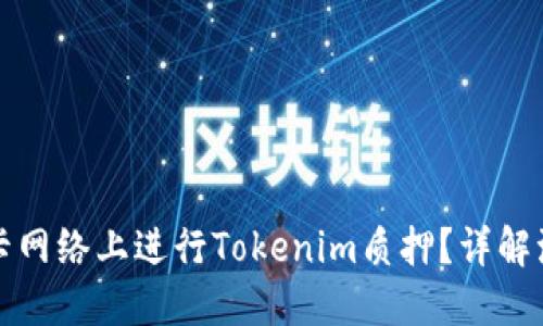 如何在波卡网络上进行Tokenim质押？详解流程与技巧