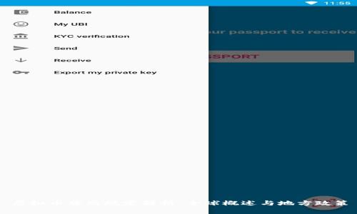 虚拟币牌照规定解析：全球概述与地方政策