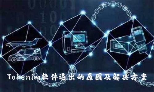 Tokenim软件退出的原因及解决方案