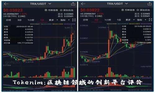 Tokenim：区块链领域的创新平台评价