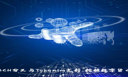 : 了解BCH分叉与Tokenim支持：挖掘数字货币的潜力