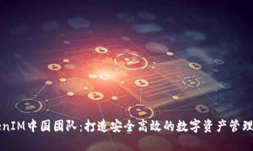 TokenIM中国团队：打造安全高效的数字资产管理平台