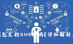 Tokenim钱包支持BNB链吗？详细解析与使用指南