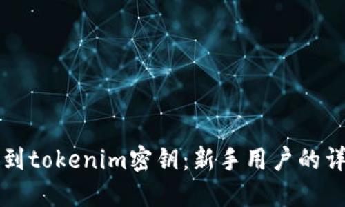 如何找到tokenim密钥：新手用户的详细指南