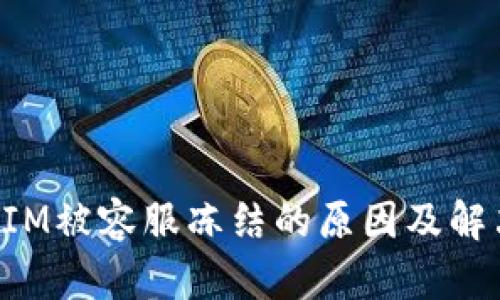 TokenIM被容服冻结的原因及解决方案
