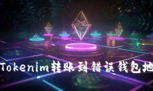 如何解决Tokenim转账到错误钱包地址的问题