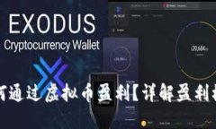 项目方如何通过虚拟币盈利？详解盈利模式与策