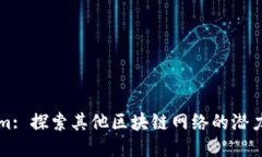 Tokenim: 探索其他区块链网络的潜力与应用