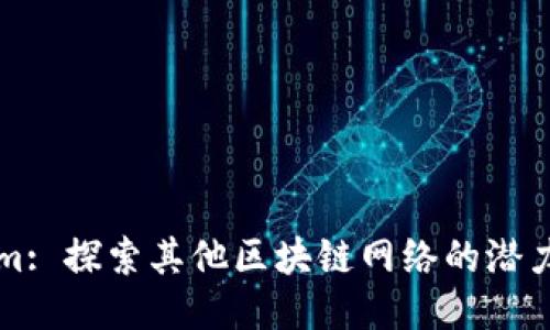 Tokenim: 探索其他区块链网络的潜力与应用