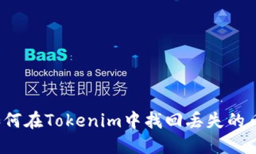如何在Tokenim中找回丢失的币？