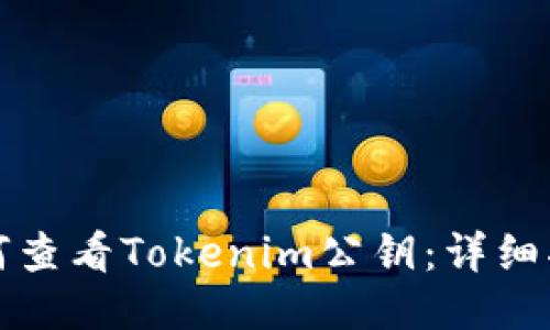 如何查看Tokenim公钥：详细指南