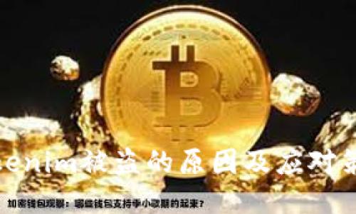 Tokenim被盗的原因及应对策略