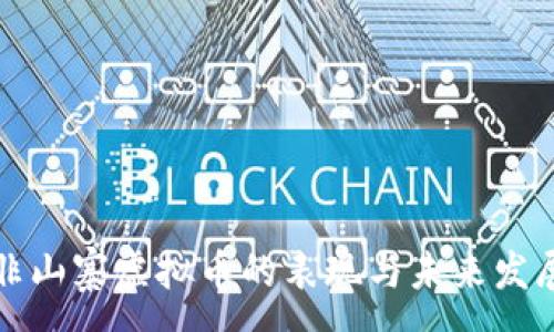 :
当前非山寨虚拟币的表现与未来发展趋势