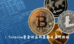 : Tokenim资金被盗的原因及应对措施