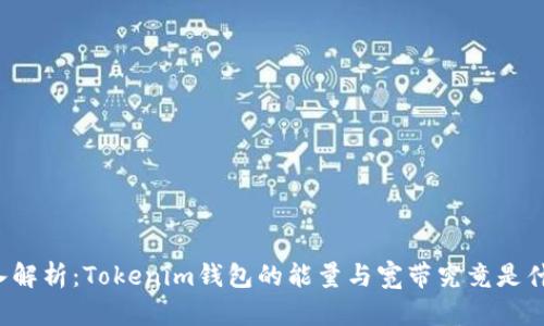 深入解析：Tokenim钱包的能量与宽带究竟是什么？