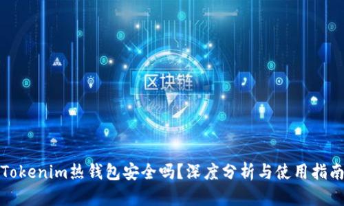 Tokenim热钱包安全吗？深度分析与使用指南