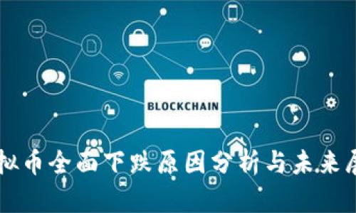 虚拟币全面下跌原因分析与未来展望