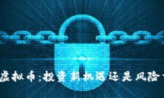 : 老虚拟币：投资新机遇还是风险重重？