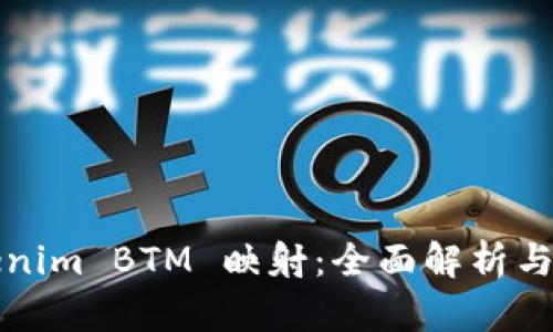Tokenim BTM 映射：全面解析与指导