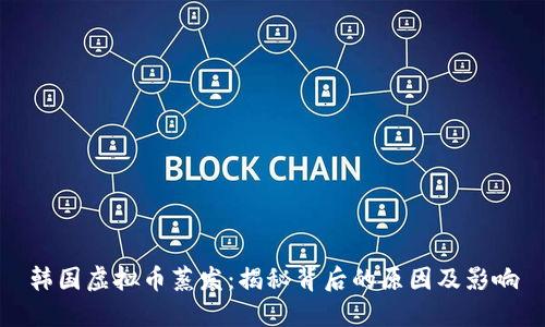 韩国虚拟币蒸发：揭秘背后的原因及影响