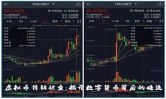 虚拟币传销被查：揭开数字货币背后的暗流