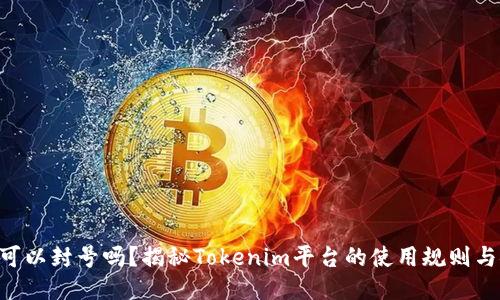 Tokenim可以封号吗？揭秘Tokenim平台的使用规则与安全机制