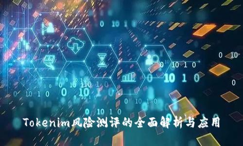 Tokenim风险测评的全面解析与应用