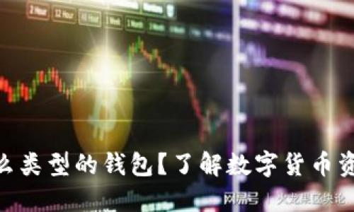 Tokenim是什么类型的钱包？了解数字货币资产管理的方法